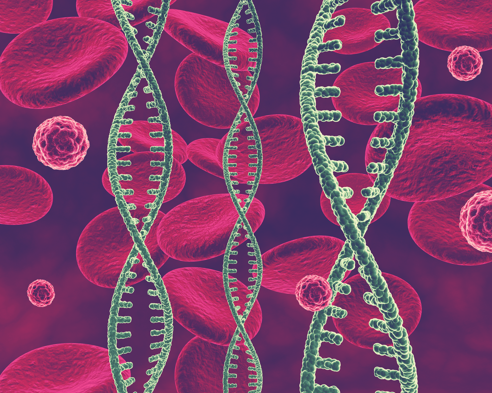 Mutationer i DNA og protein